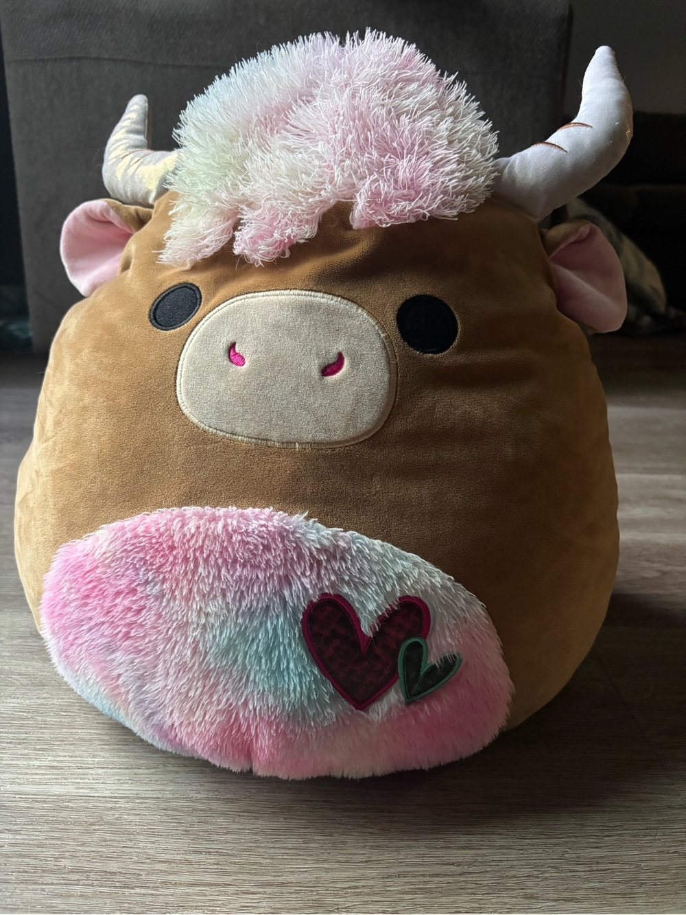 Candela the highland cow Squishmellow